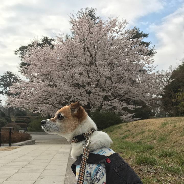 402b6f6e 88a7 45b0 9e34 29314b363abc 1585270979952