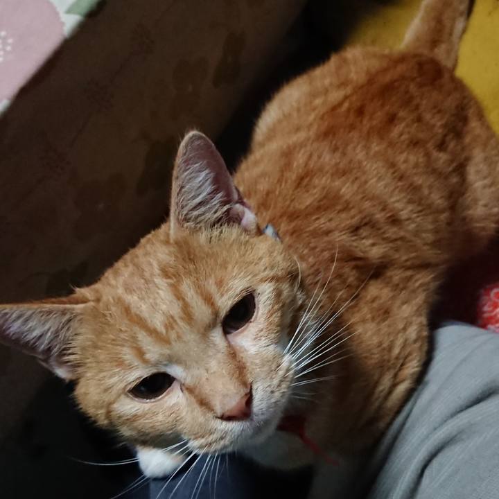 402b7a94 0cd2 4161 a724 4606738b6ceb 1570156490260