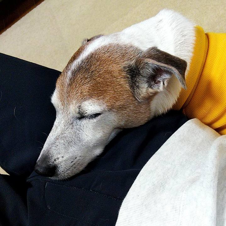 402b8c0a 8c83 4386 b85f 3e616b50aa64 1578307931715