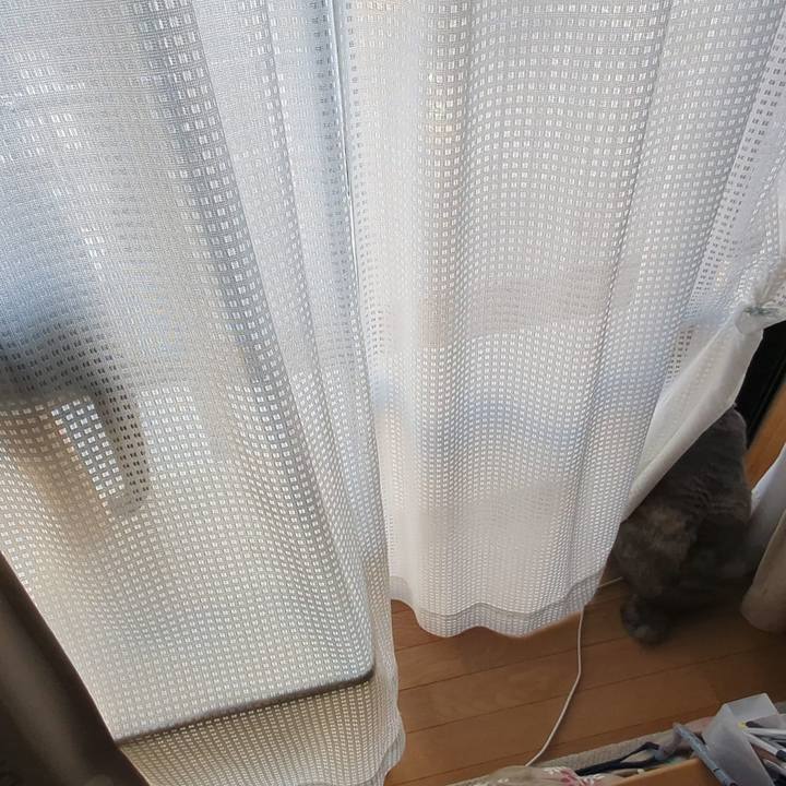 402ba273 fcc2 459e bdcc 3896593c4f24 1764310206706