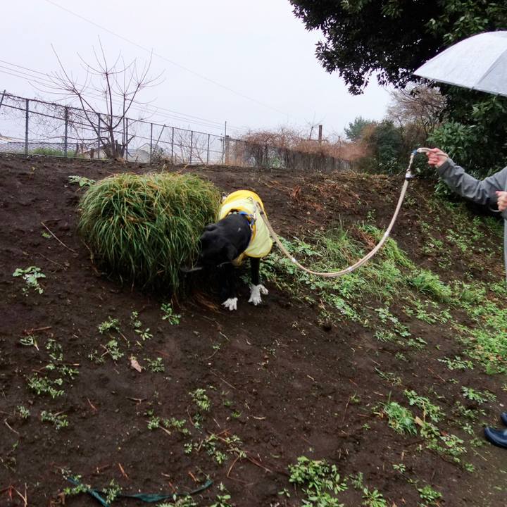 402bb408 6789 408d a97f 3f2d6695ccf7 1743552039861