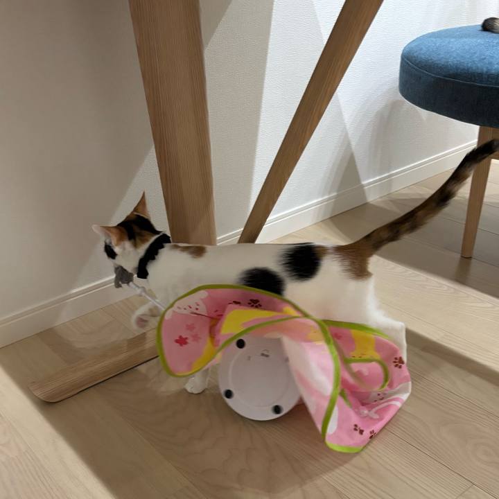 402c34c5 3cad 48b0 841f acbab93c9f21 1762412593661