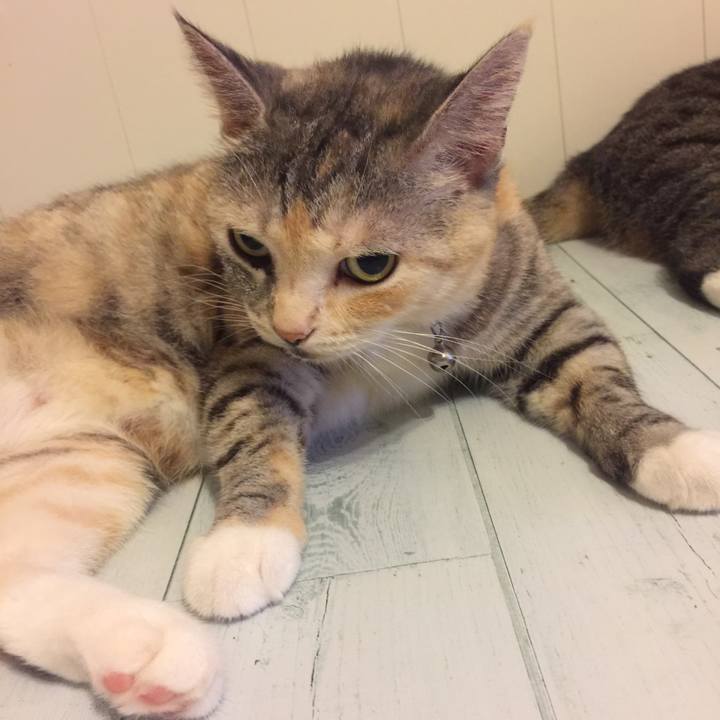 402c3a0a bce1 46f8 97b8 6e75f76bb6ce 1567350948312