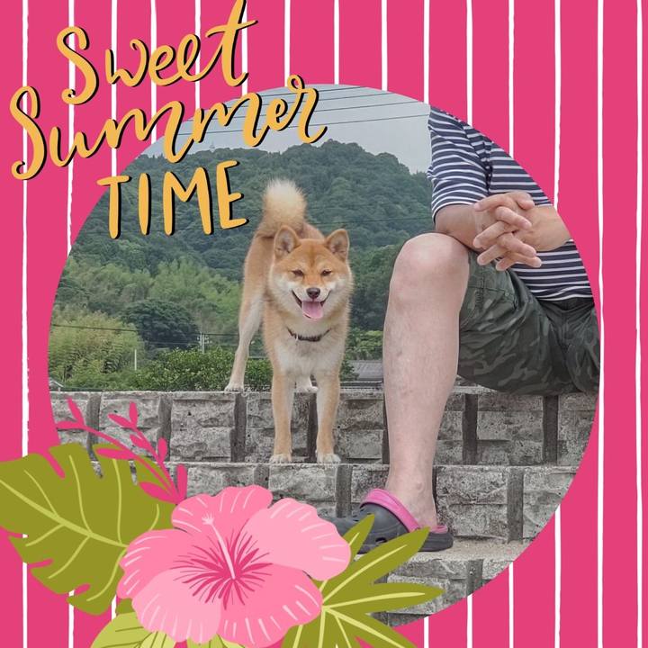 402c5707 ac90 4fc7 ae1a 9f3dacab61b9 1657406893157