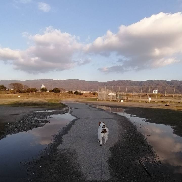 402c9b59 d247 41f7 b6d8 8b2501de7ddd 1577094514273