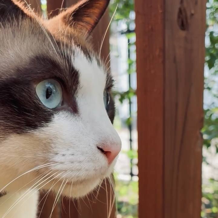 402ca27d aa1b 44b1 b1a4 0572dbe71682 1760062470502