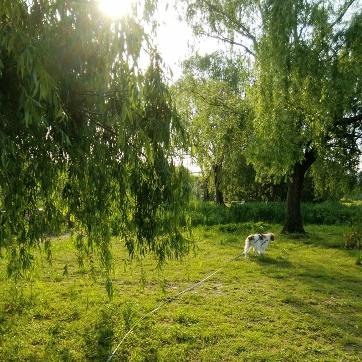 402cac8e 3e4b 44e3 92d4 23256ada6259 1557487056224