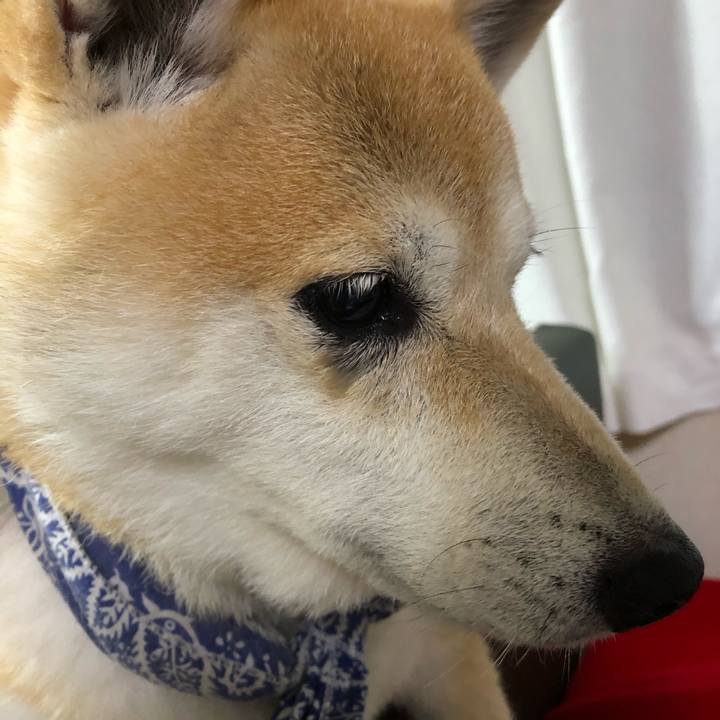 402cb9fc c9f1 4e9a 8f47 c633a2d34d98 1599133675974