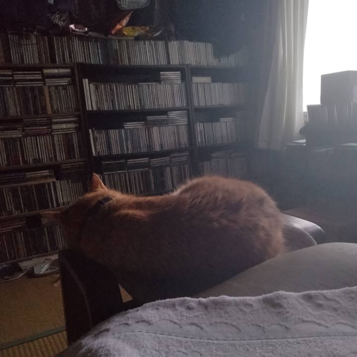 402cebac a1dc 47e6 b2ed 4633b57e653d 1751579097925