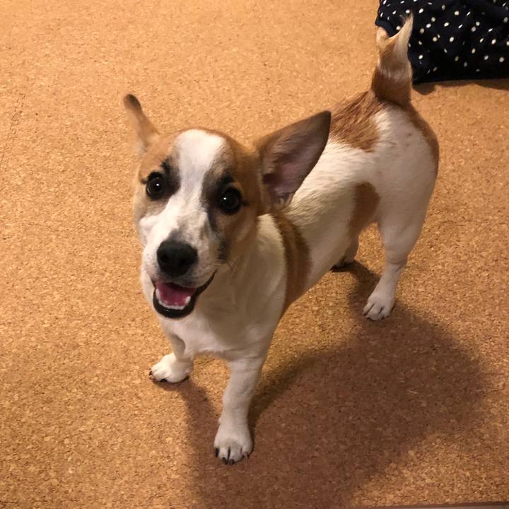 402d1eca acfc 45c4 a3b0 d08ac94e28b1 1555455608053