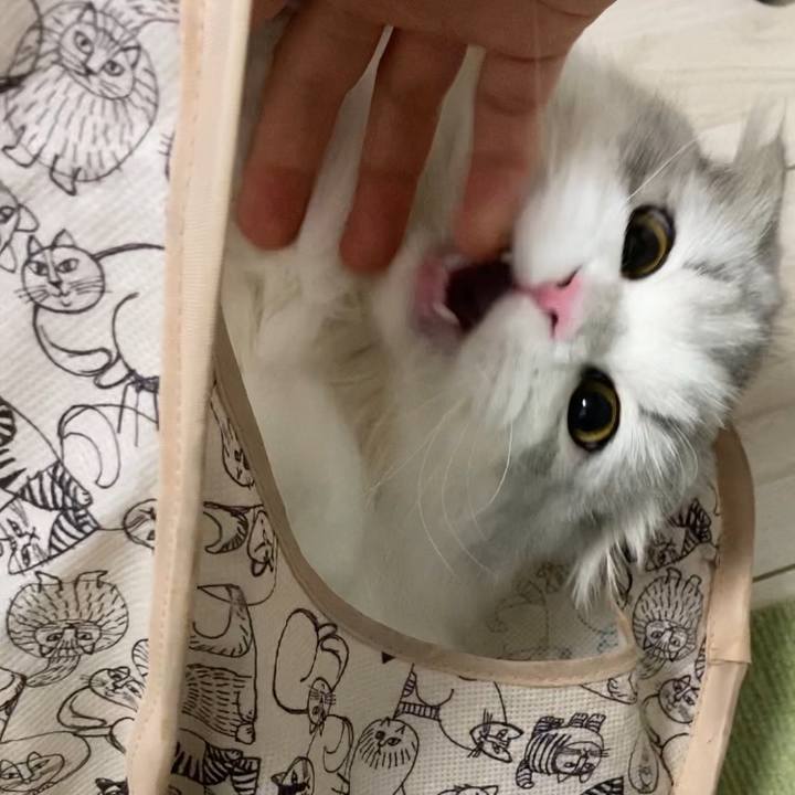 402d87f9 b26a 4615 b2f6 6704d11d912e 1607779574112