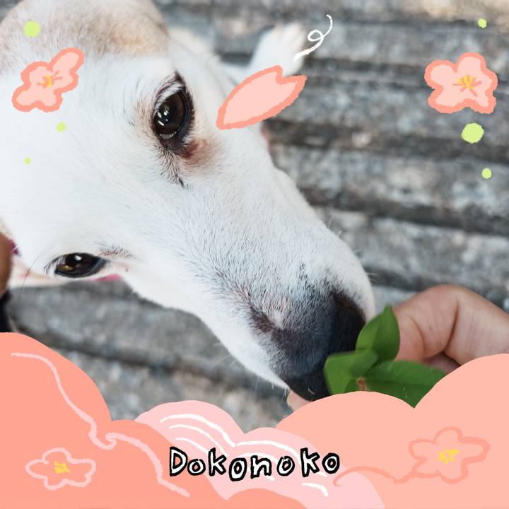 402d9d60 435e 49a5 932a e84a420a3be0 1775438576983