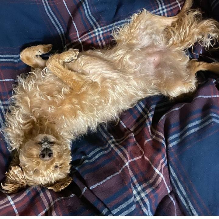 402d9fde 7d89 4835 b0ae 7f08dff74eff 1649847099112