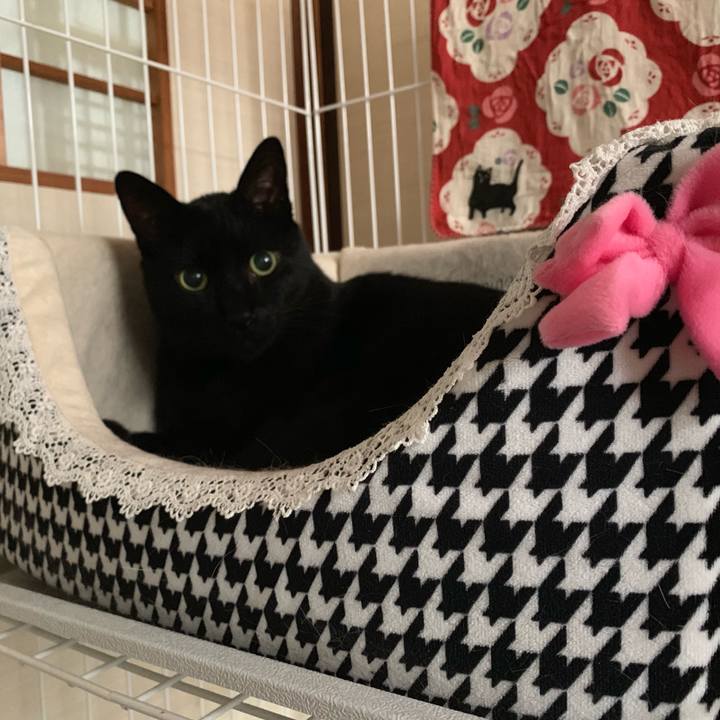 402da415 f0dc 450e 9d74 0fbe94bb7d1f 1550711495606