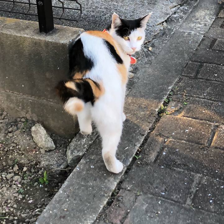 402da5d0 40f6 4838 9f1a d0a55878dd66 1633298901408