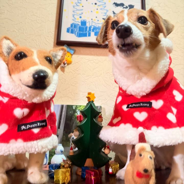 402db1ac 5163 4eea aed1 dabde3438df2 1766573102754