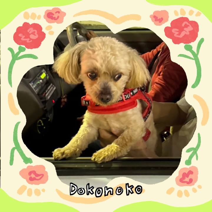 402e1f76 cdf3 4391 8a04 1ada2a65e84a 1714914337148