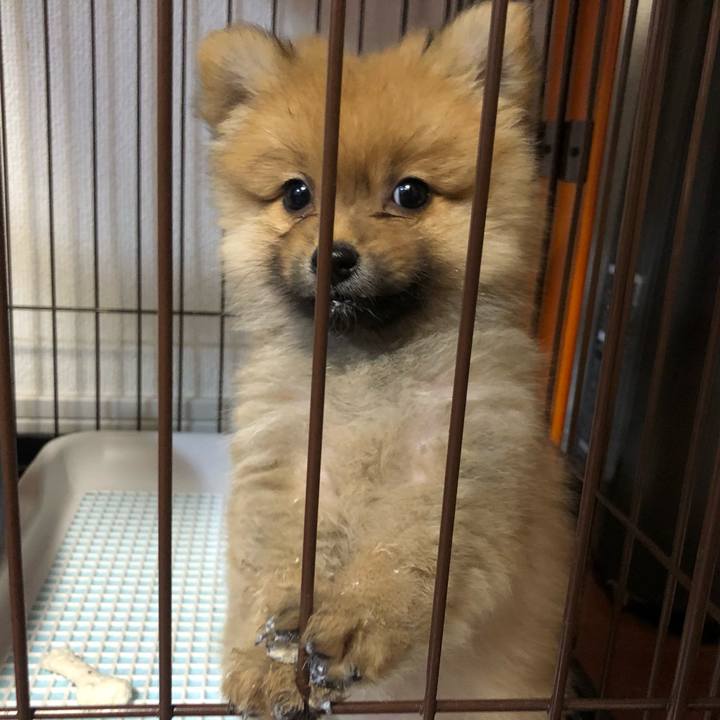 402e24ad ed25 4c3e 8dfe 7da23b6d0460 1619149260169