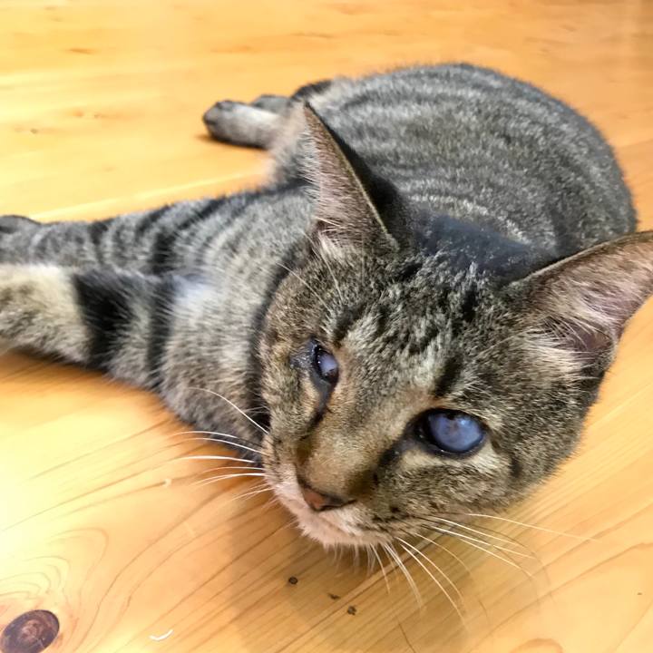 402e274c 82bf 4341 80d7 6574230c52b6 1602409351085