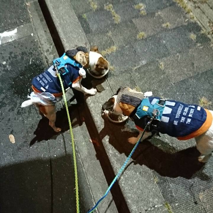 402e2f91 fe90 4b17 bb9c 661edb1f5590 1572779871838