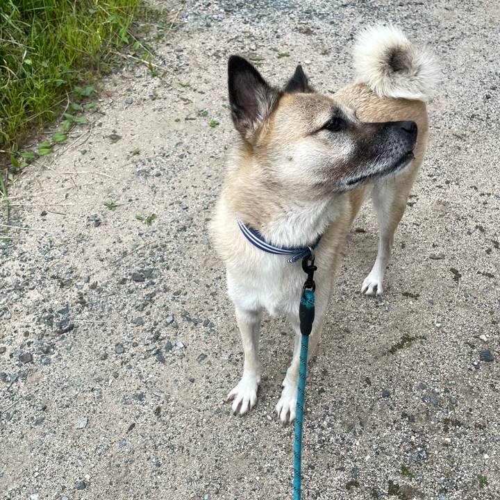 402e4a6c b491 466d 9702 9ce51e212995 1696510701545