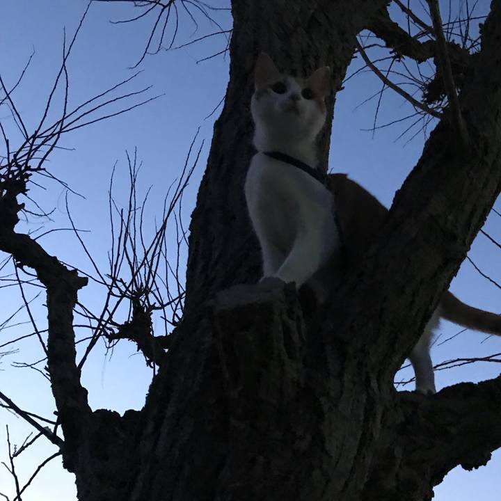 402e6b86 aff2 4f7c a7d0 acba0019787d 1517825029536