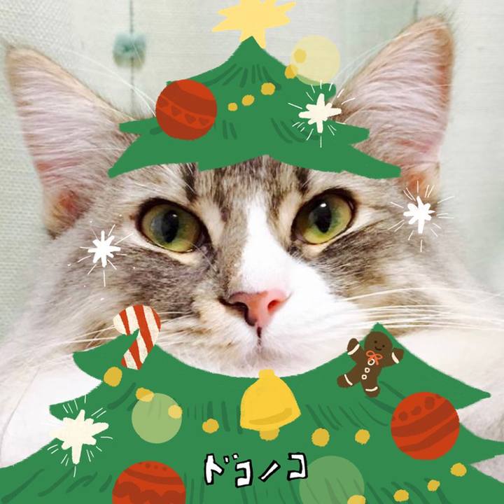 402e80b5 cd40 4feb 984a 18c842185f9e 1761672948739