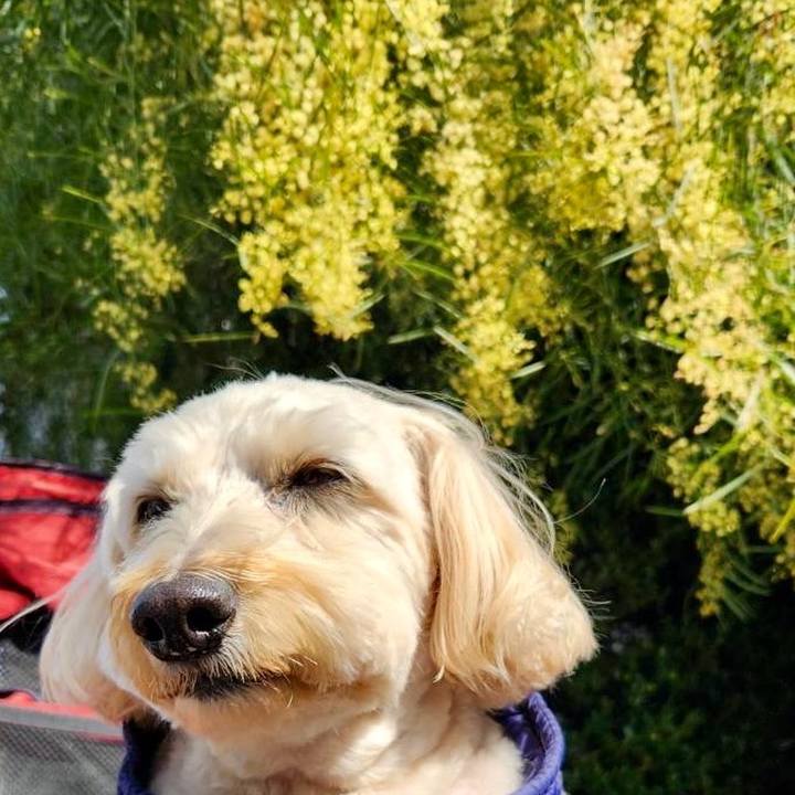 402eb3f8 a740 463a 848f cad3a2f75777 1771568997405