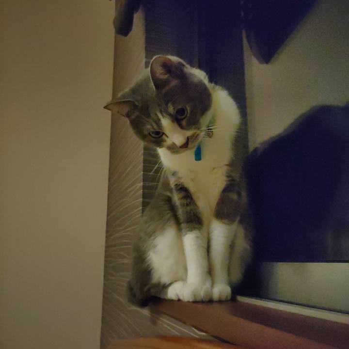 402eb5aa 5dc6 4dec a0b2 5d45660cb8a3 1669547615940