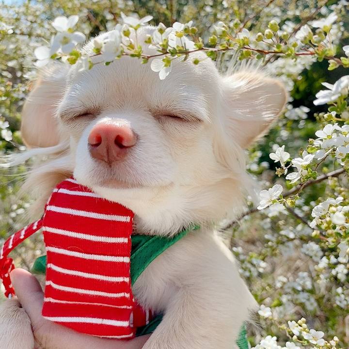 402ef34c 5c4f 4aa6 9f86 85d5417f514b 1615377880660