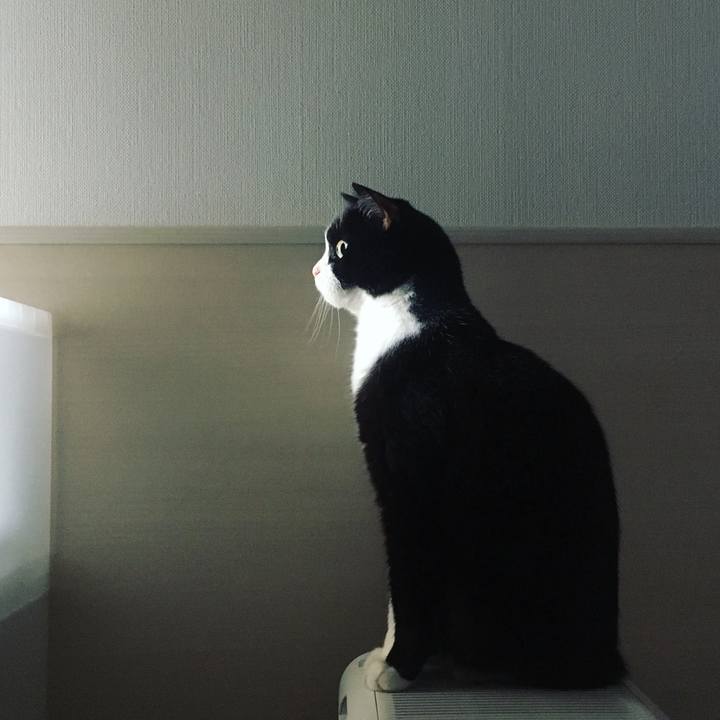 402efedd 722c 4ef2 b491 0850fd201d7c 1660945502221