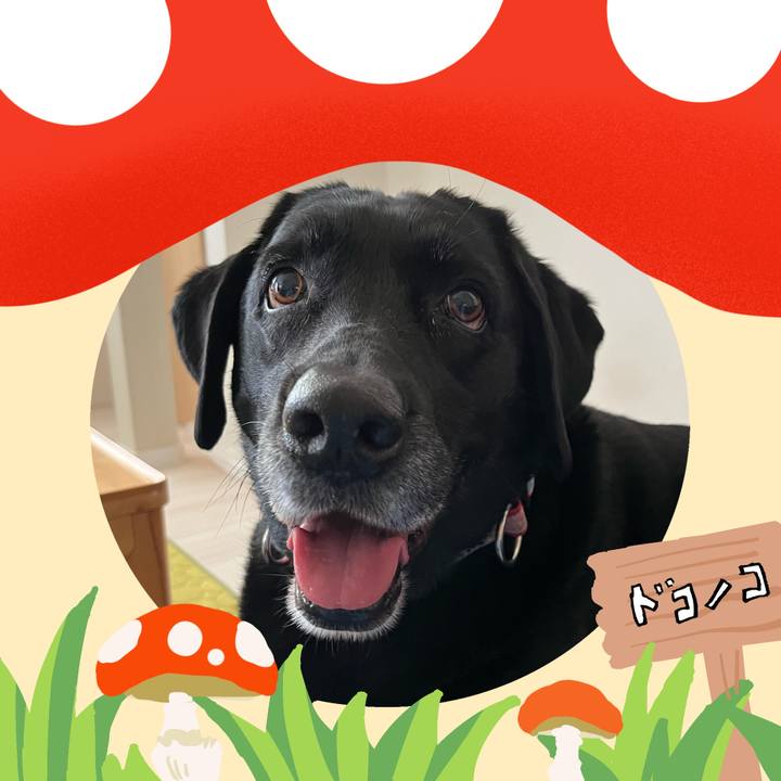 402f0039 118a 4753 9c63 5b4ed778740d 1729048451294