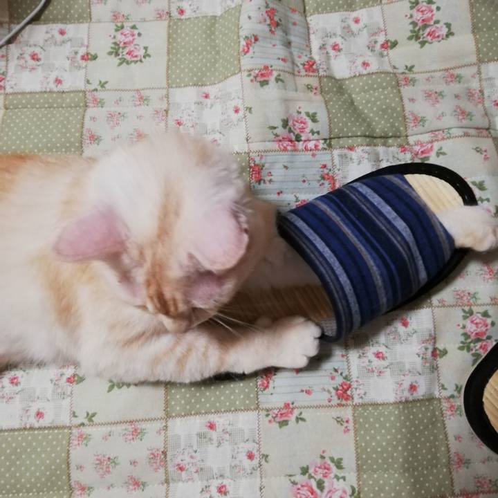 402f0d91 58fe 495b ad45 66f392ea8c56 1599367296163