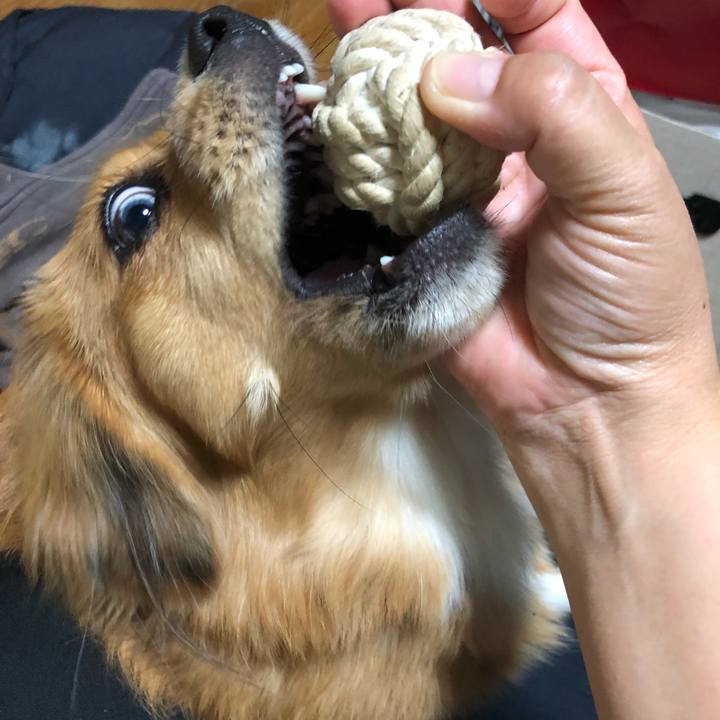 402f1183 d0e0 4a3d bce6 53ede8efef36 1509832040482