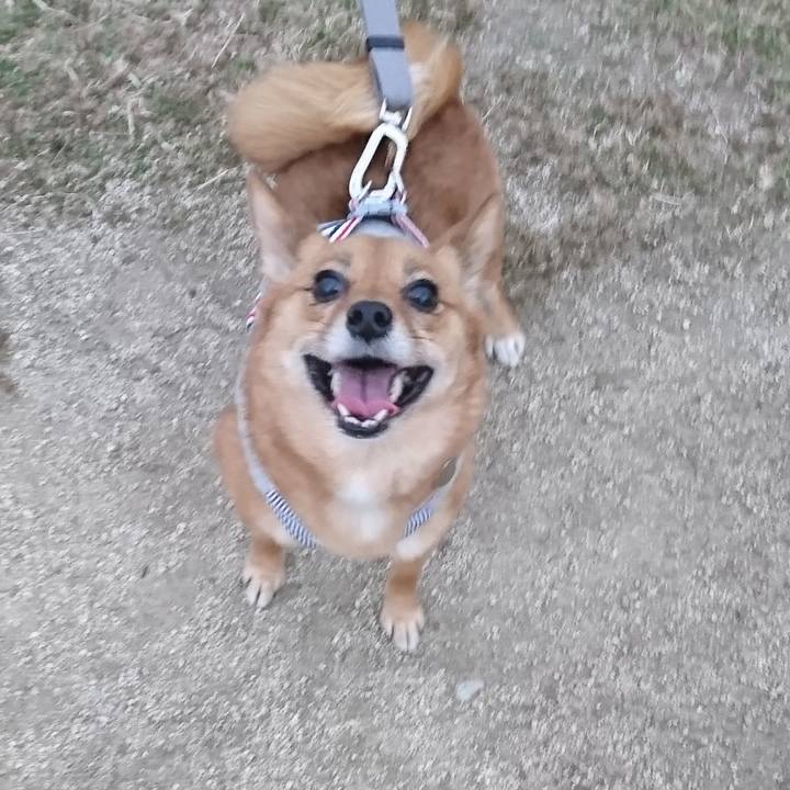 402f331e 0780 4725 aa25 68e488467501 1550310476031