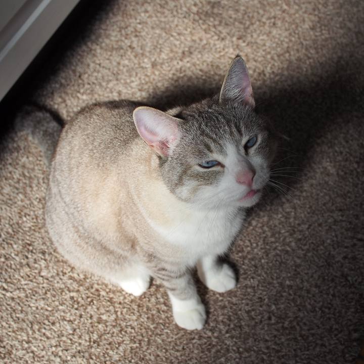 402f3ebe 2897 47ab 9e93 3373846076c1 1591574247886