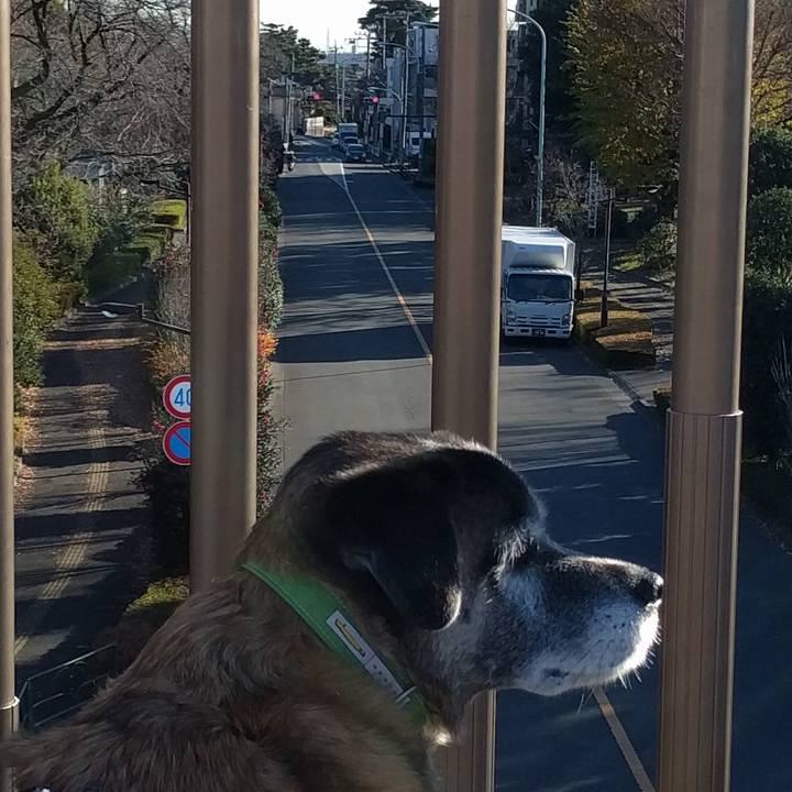 402f58f0 7d8c 4330 a980 867ae5f130da 1513210545661