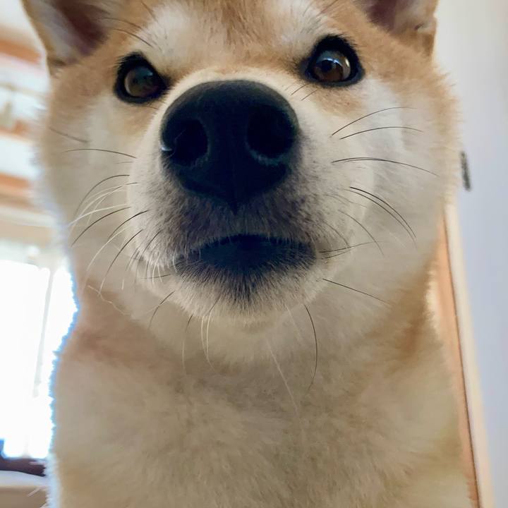 402f7e85 e08b 4b80 b516 876f064eae1b 1754519514336