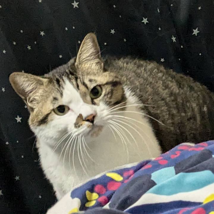 402fa7f0 c3a7 416c a24a 7cf89661b57d 1735458033857