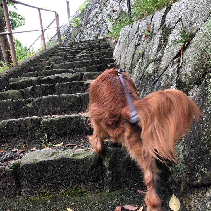 402fc224 1c01 4dd6 a72f 346741897e9e 1589675391790