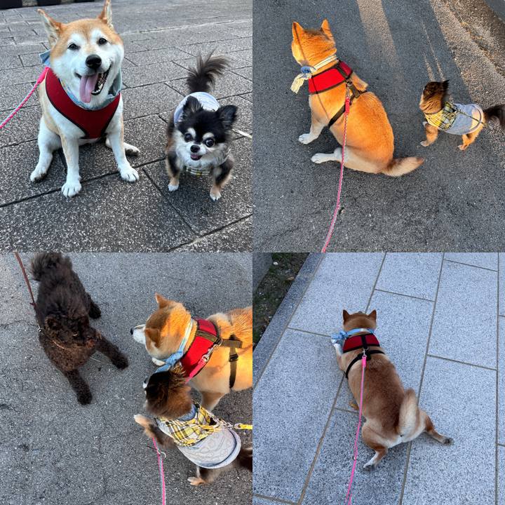 402fdf67 87af 49c1 a2ca 8d7cc38eb9b0 1725871927621