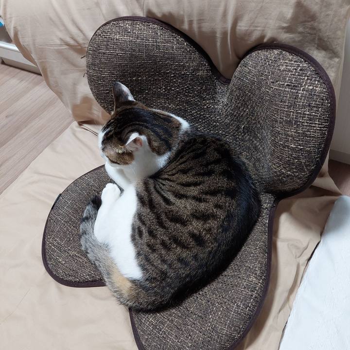 40300cf7 3a80 493c b94e 18bf58978146 1641473770831