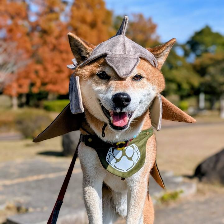 40305607 b424 4968 95ef 86d464f23f61 1763977899190