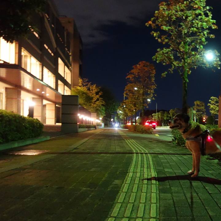 4030a3b0 41cc 452f aebc ac079cecaba7 1538144798595