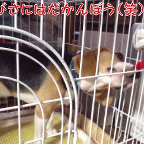 4030b313 76cd 45b0 81f8 9fa7cf6eda58 1704584841892