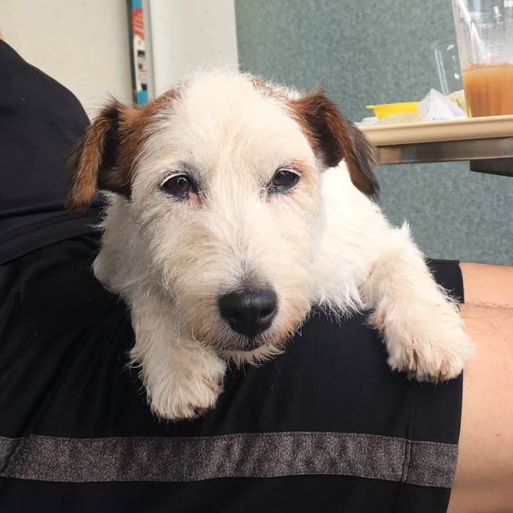 4030e620 7149 40ad a616 5df5f8de0bbb 1565215615829