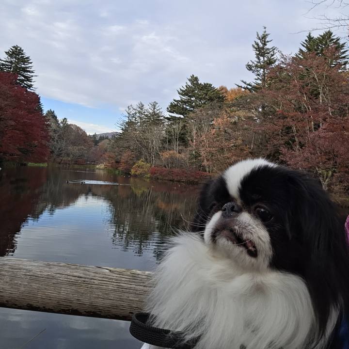 4030ed98 2e1c 49f6 a2a7 c394a496dca3 1763118011486