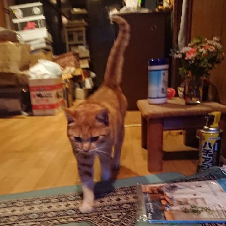 40310191 f947 4a2b 9f8e aef1f5aa7764 1585820401584