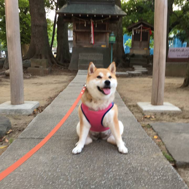 4031546b 64c2 4552 8429 e27d63c6d26a 1561025532200