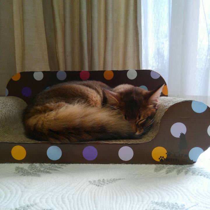 40318b07 cd03 4d2d b5b7 e9ce62954897 1578298990857